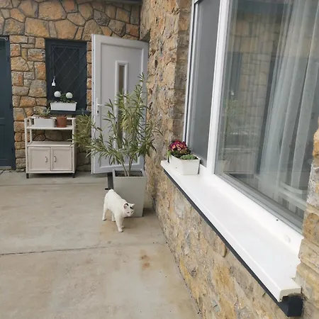 Casa Mini 5 Pécs